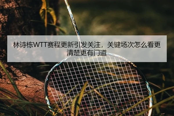 林诗栋WTT赛程更新引发关注，关键场次怎么看更清楚更有门道