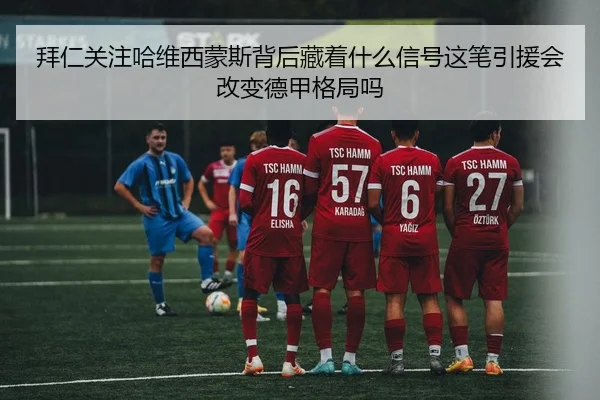 img_1783743269258_10_2_885.jpg
